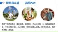 新华荣耀终身寿中国的基本养老现状三阶段出现产品案例演示25页.pptx