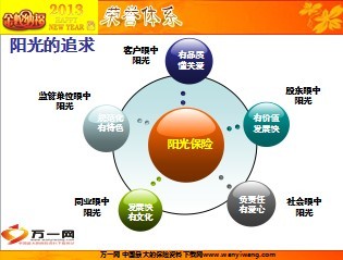 2013年阳光保险荣誉体系49页.ppt