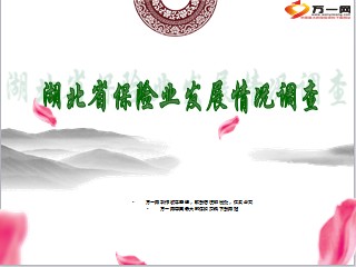 湖北省保险业发展情况调查21页.ppt - KPI分析