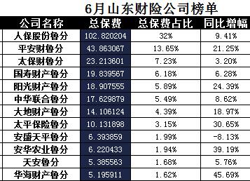 山东省2017年前6月财险公司总保费排行榜.xls