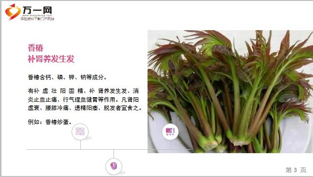 每日健康一种野菜治一种病常吃减肉19页 Ppt 每日系列 每日健康一种野菜治一种病常吃减肉19页 Ppt 每日系列