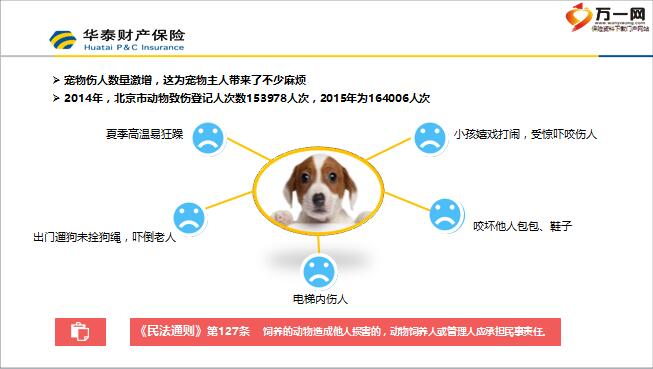 华泰爱犬保宠物责任保险理赔案例9页.pptx