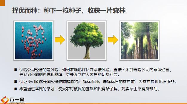 种子大树运营基础知识重要环节选择21页.pptx