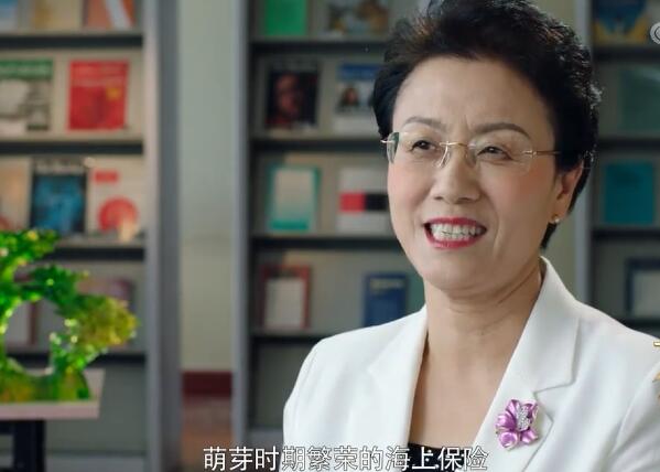 视频分享大国保险纪录片华泰王孙祁祥教授讲保险.rar