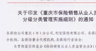 重庆市保险销售从业人员分级分类管理实施细则8页.zip