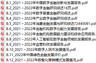 中国数字金融创新发展报告2023蓝皮书.zip 