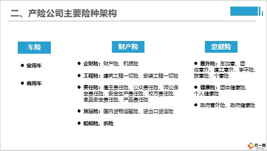 中国大地保险简介主要险种架构产品介绍20页.pptx