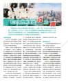 北京保险杂志2024年4月27页.pdf