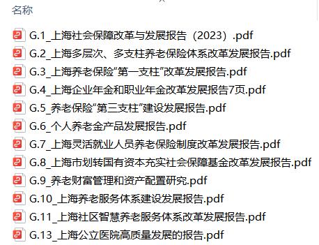 上海社会保障改革与发展报告2023绿皮书.zip 