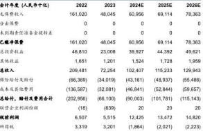 2024新华人寿2023年业绩NBV增长强劲7页.pdf